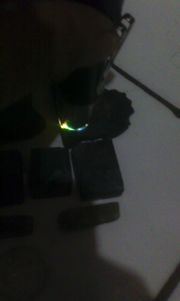 rough bacan borongan