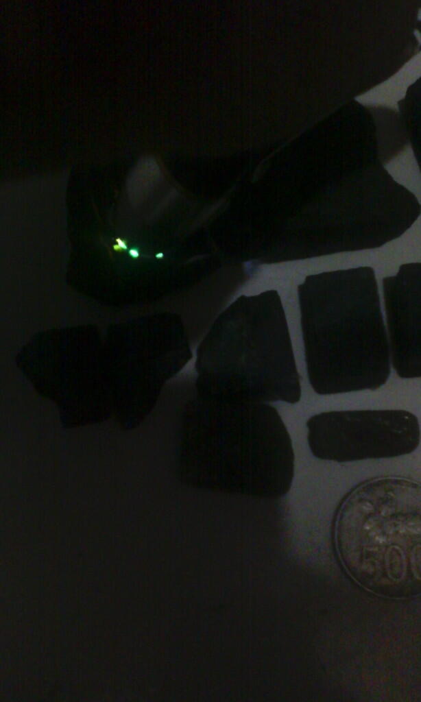 rough bacan borongan