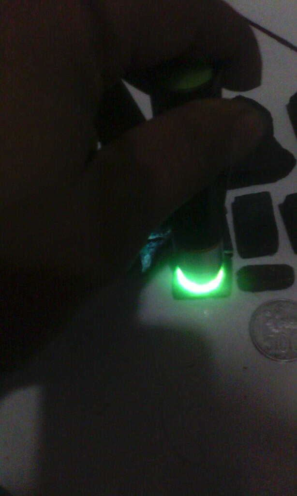 rough bacan borongan