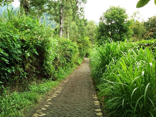 &#91;CATPER&#93; Rindu Gunung Panderman