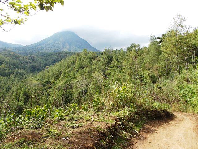 &#91;CATPER&#93; Rindu Gunung Panderman
