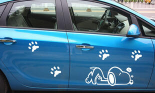 SY STICKER 3