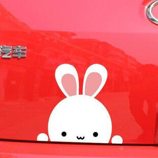 SY STICKER 3