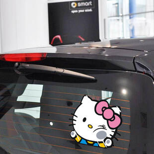 SY STICKER 3