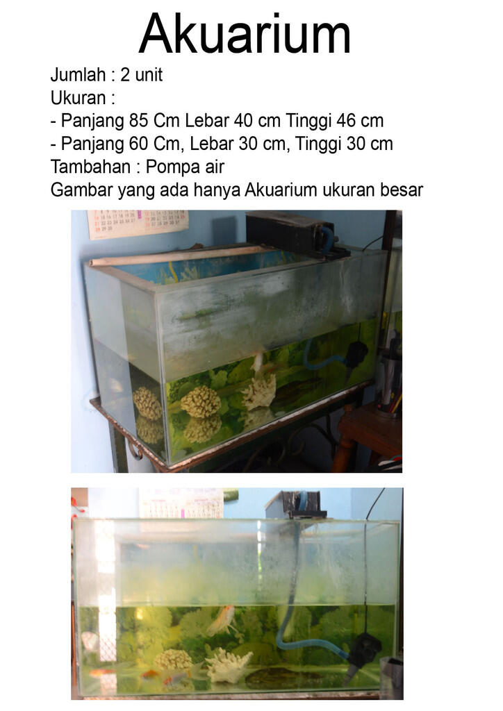 Akuarium (P x L x T = 85cm x 40cm x 46cm) CUMA RP.300.000