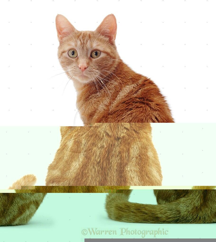 &#91;ASK&#93; Ada yang tahu ini komputer ane kenapa?