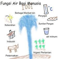 Tentang Air (Fakta dan Mitos serta Manfaat Air)