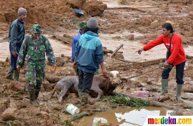 Foto-foto Bencana Longsor di Banjarnegara