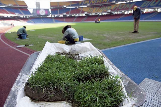 rumput sawah di tanam di stadion broth,,