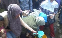 jasmev dan panastak pasti banyak yang rebutan ini