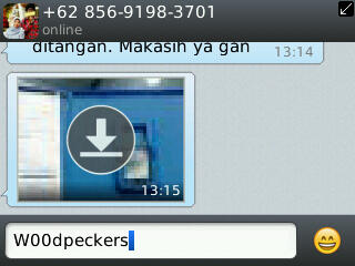 I kumpulan testimonial agan w00dpeckers I 