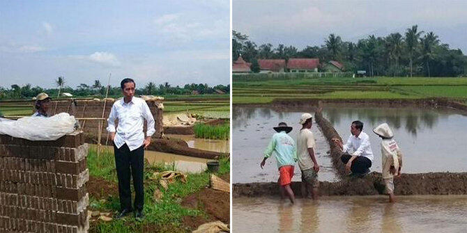 Sambil Jongkok, Presiden Jokowi Diskusi Sama Petani di Sawah