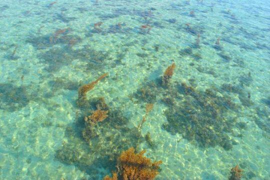 Membolang Ke Pulau Tidung