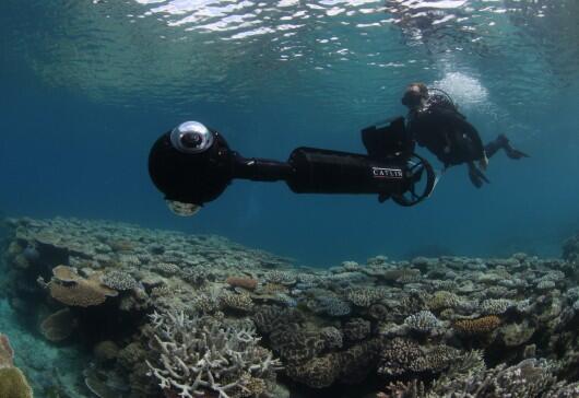 Google Maps untuk Underwater dan Kesehatan Terumbu Karang