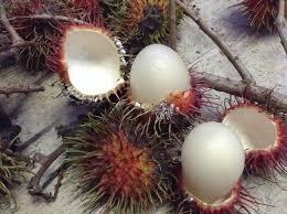 YANG SUKA BUAH RAMBUTAN,PASTI PERNAH MAKAN INI JUGA !!!!