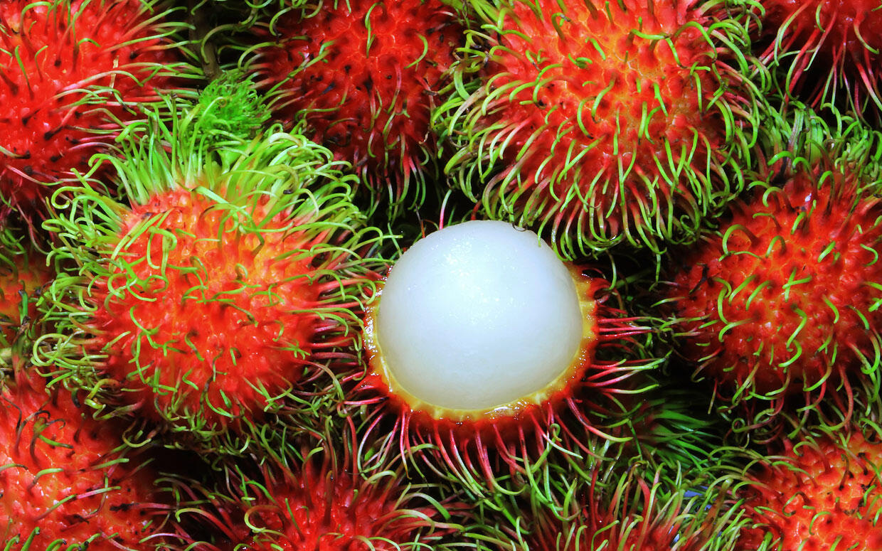 YANG SUKA BUAH RAMBUTAN,PASTI PERNAH MAKAN INI JUGA !!!!