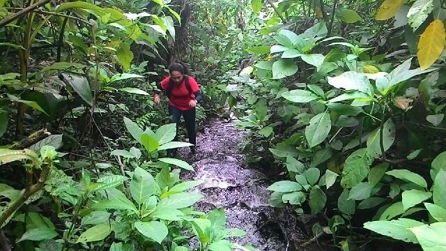 &#91;CATPER&#93; Harus nyoba kesini... Gunung Rakutak dan Danau Ciharus 29-30 November 2014