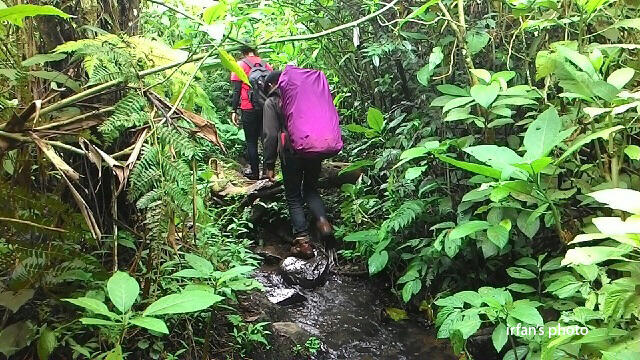 &#91;CATPER&#93; Harus nyoba kesini... Gunung Rakutak dan Danau Ciharus 29-30 November 2014