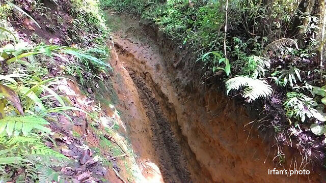 &#91;CATPER&#93; Harus nyoba kesini... Gunung Rakutak dan Danau Ciharus 29-30 November 2014