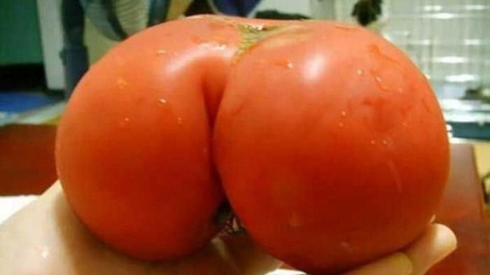 Yang Suka Porno dan 'Ngeres' Sebaiknya Jangan Buka Foto Ini