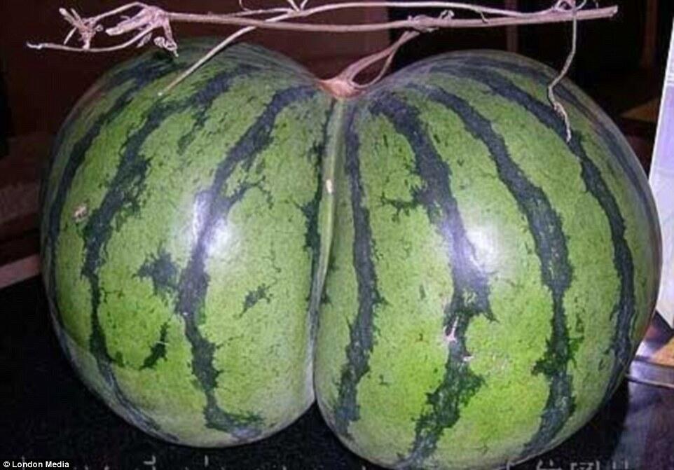Yang Suka Porno dan 'Ngeres' Sebaiknya Jangan Buka Foto Ini