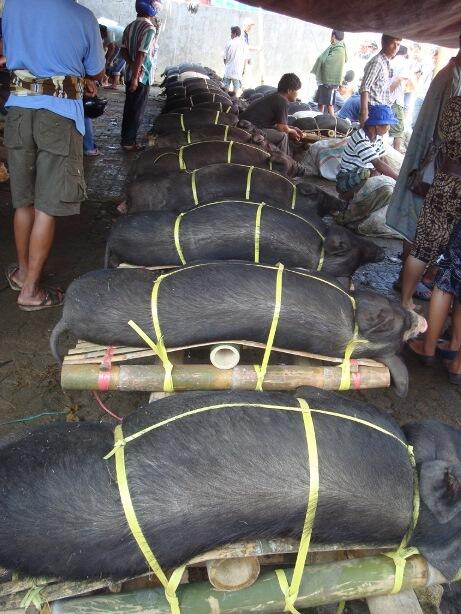 Pasar Unik dari Berbagai Daerah di Indonesia