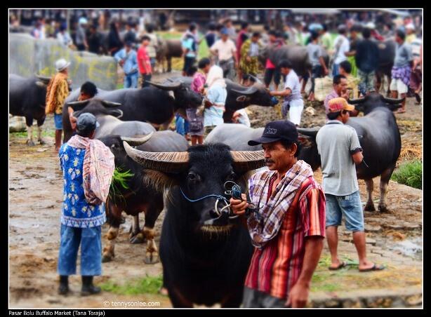 Pasar Unik dari Berbagai Daerah di Indonesia