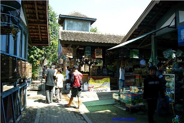 Pasar Unik dari Berbagai Daerah di Indonesia