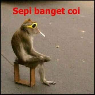 orng songong gak ade tmn nyye