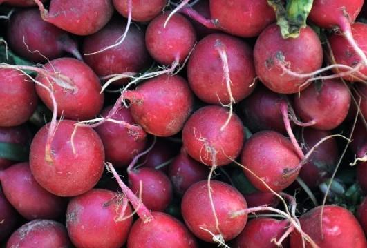 8 Tradisi Liburan yang Unik di Dunia