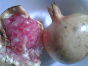 Macam-Macam olahan dari biji buah