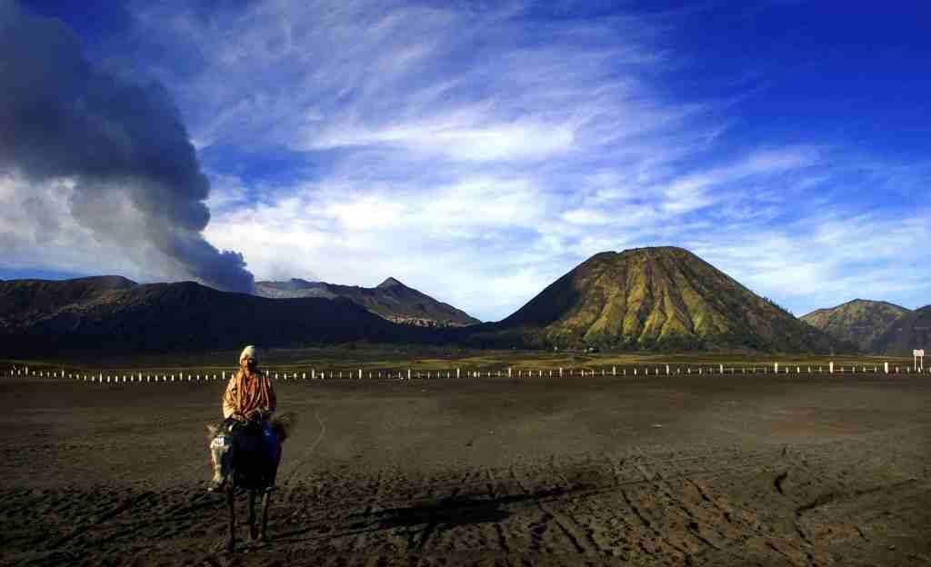 Hotel dan Penginapan di Bromo