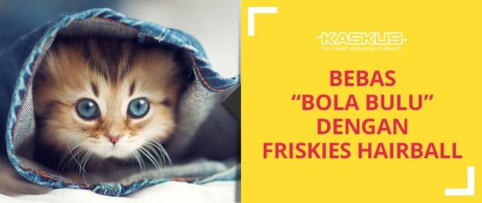 Friskies Hariball: Bebaskan Kucing Kesayangan Dari Masalah “Bola Bulu” 