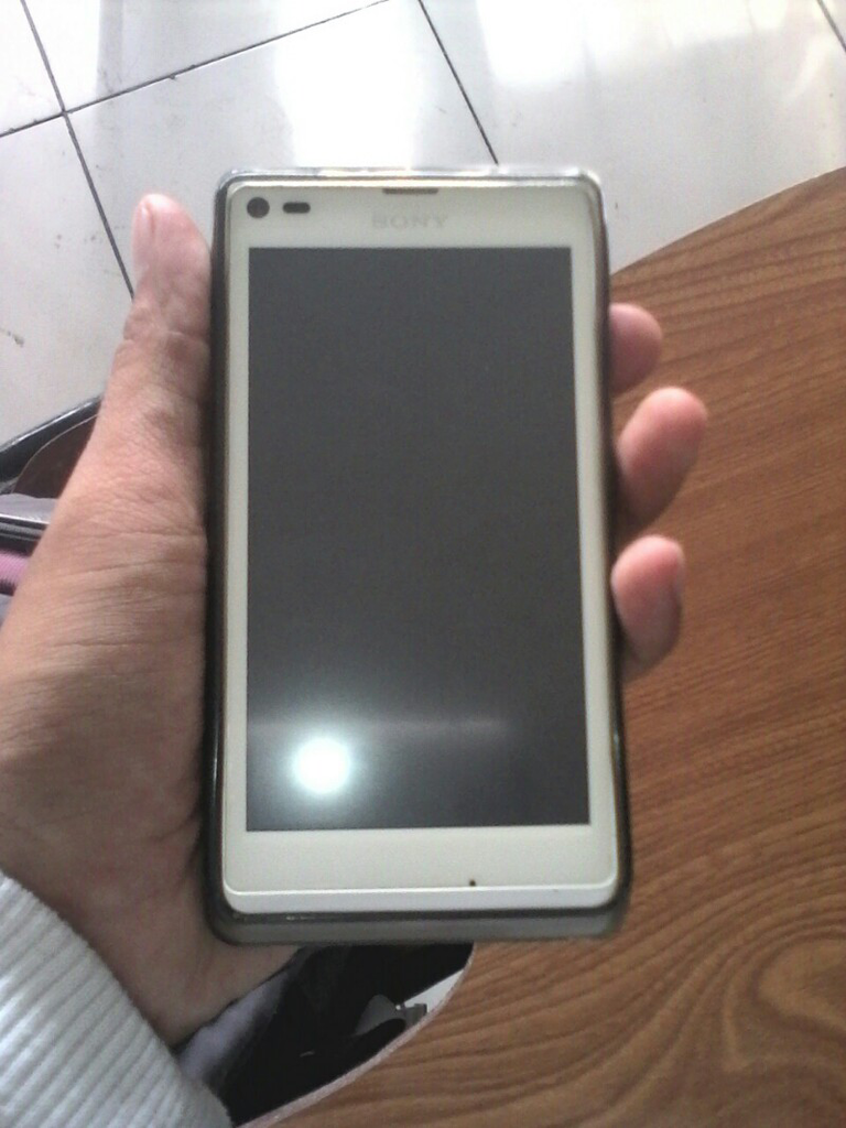 Xperia L
