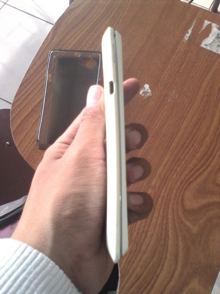 Xperia L