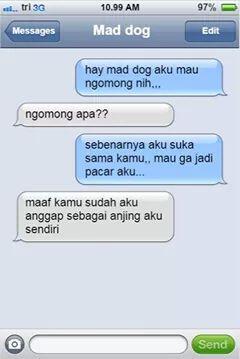 meme chat yang konyol