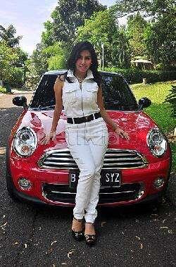 Mini Cooper Milik Artis Dangdut yang Ditilang karena Melaju di Bahu Jalan Tol