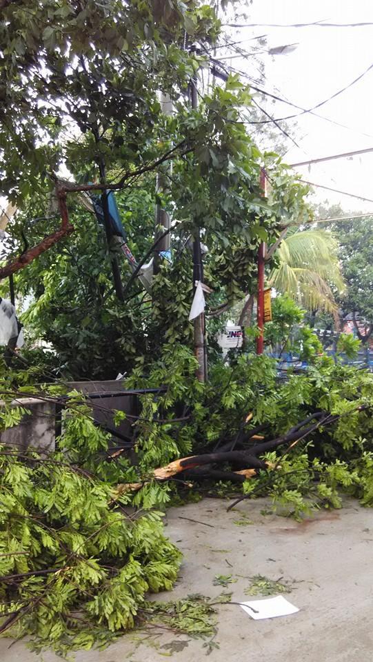 Foto dan Video Bencana Tornado di Bandung