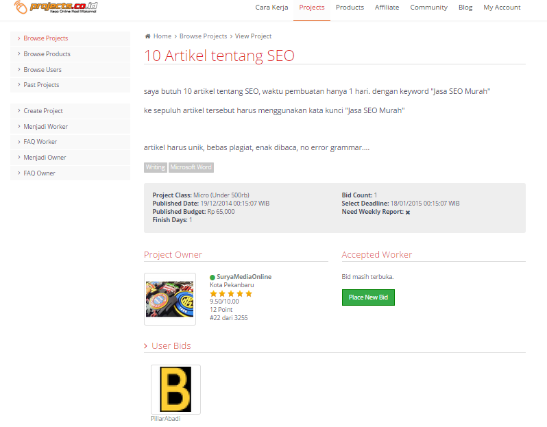 &#91;LOWONGAN FREELANCE&#93; Membuat 10 Artikel mengenai SEO