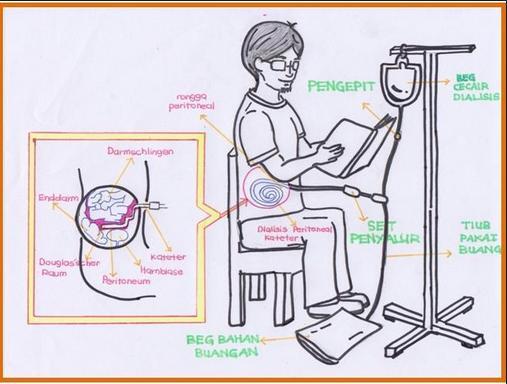 Alat-Alat Yang Ada di Tubuh Manusia