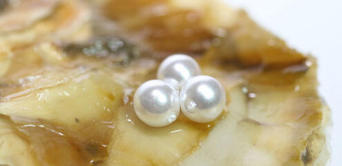 Gemstone loversss :::::: 5 Mitos dan Fakta Tentang Batu Mulia :::::::::