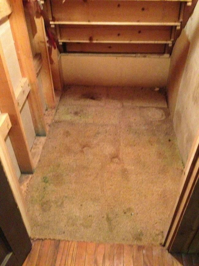 Berburu Harta Karun di Bawah Lantai Rumah