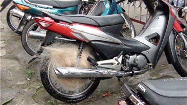 ini gan cara Unik Melawan Dan Menangkap Geng Motor 