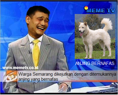 Kumpulan Berita Lucu ( masuk gan, jaminan ngakak 10000% )