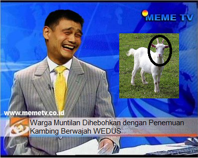 Kumpulan Berita Lucu ( masuk gan, jaminan ngakak 10000% )