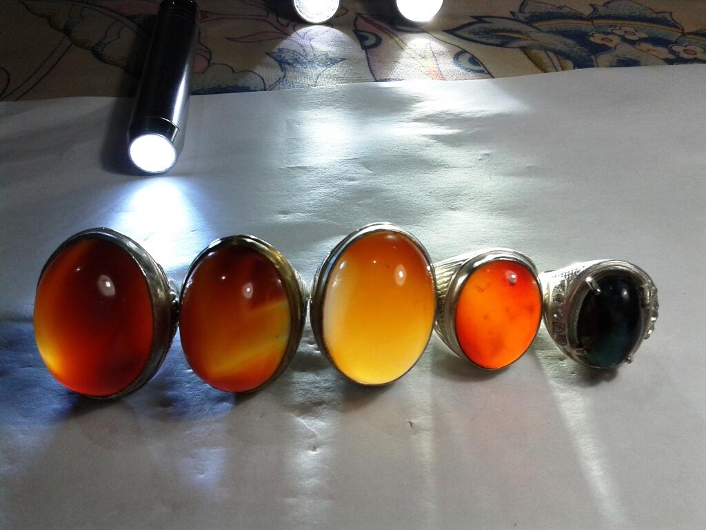 Raflesia Bengkulu dan Bacan Doko