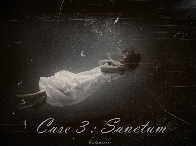 Case 3 : Sanctum