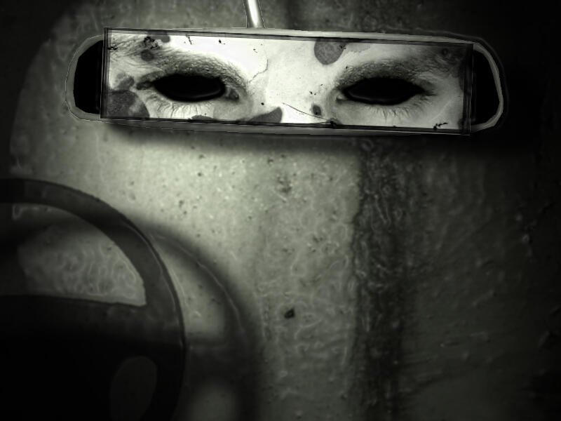|Fake Passenger| Horror Short Story
