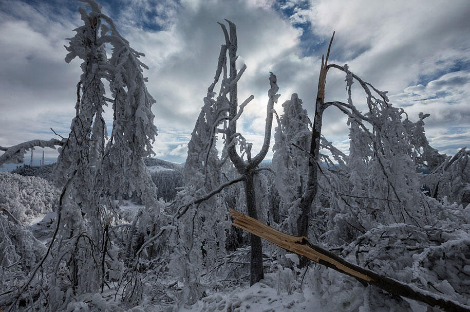 Formasi Es Kabut Beku Spektakuler di Slovenia