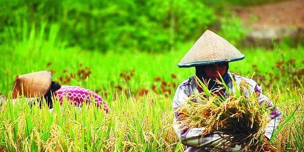 Fakta Fakta Ironis Seputar Hari Ibu di Indonesia